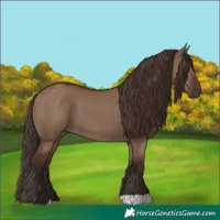 Horse Color:Liver Red Dun