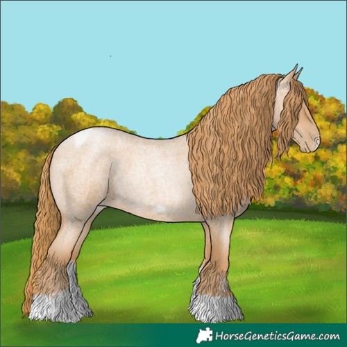 Horse Color:Red Roan Pearl Tobiano Frame