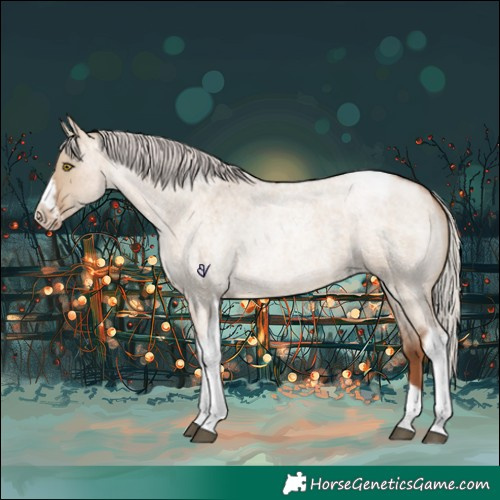 Horse Color:Silver Brown Roan Pearl Dun Tobiano Frame 