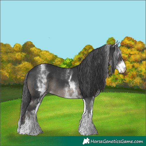 Horse Color:White Spotted Black