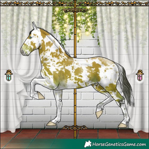 Horse Color:White Spotted Bay Harlequin Merle Tobiano 