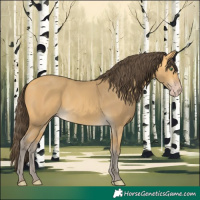 Horse Color:Amber Cream Champagne