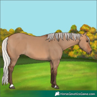 Horse Color:Silver Bay Dun 