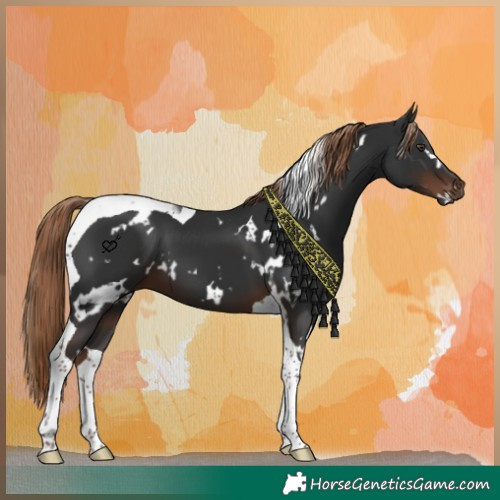 Horse Color:White Spotted Liver Chestnut Tobiano 