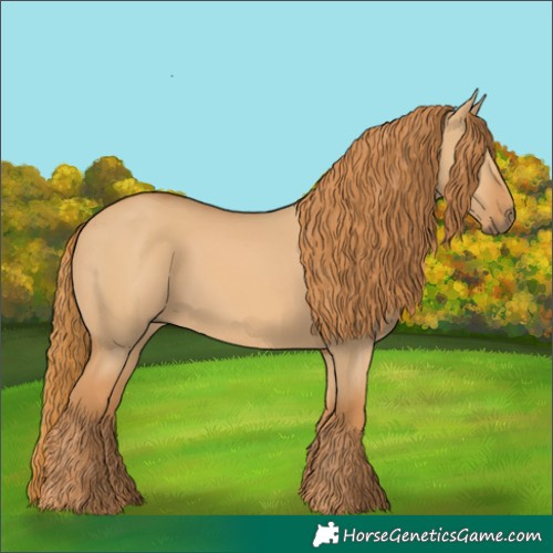Horse Color:Red Dun 