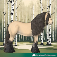 Horse Color:Buckskin 