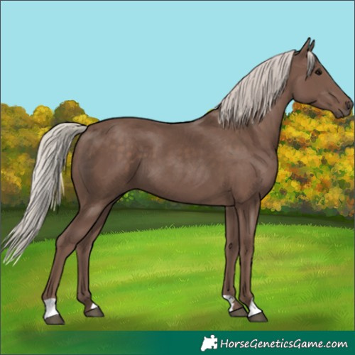 Horse Color:Silver Black 