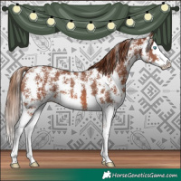 Horse Color:Chestnut Sabino Splash