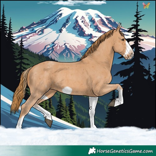 Horse Color:White Spotted Chestnut Sabino Frame