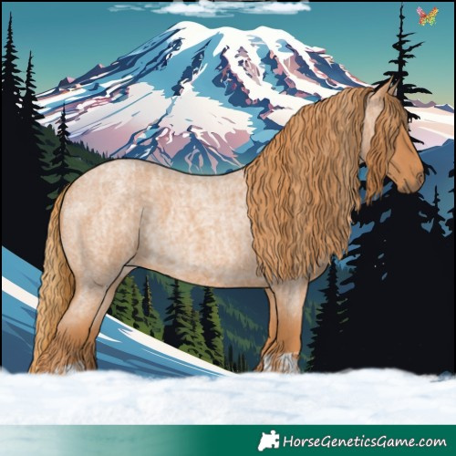 Horse Color:Red Roan and Red Roan