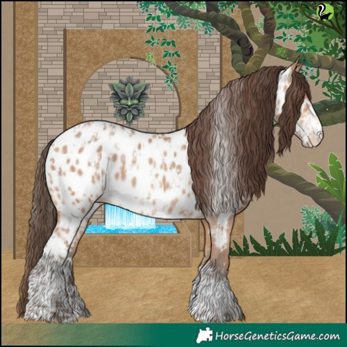 Horse Color:Amber Champagne Near Leopard  and Amber Champagne Near Leopard 