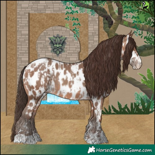 Horse Color:Sable Champagne Near Leopard  and Sable Champagne Near Leopard 