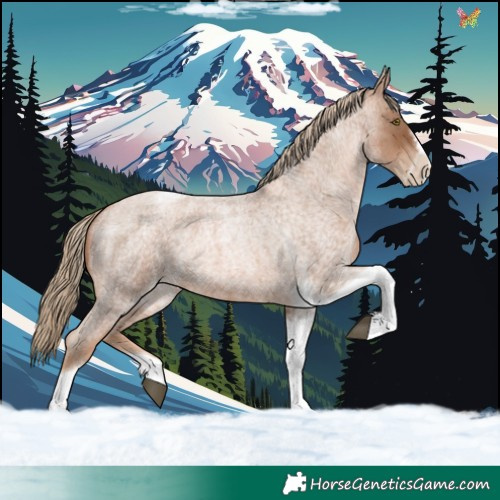 Horse Color:Liver Red Roan Pearl Tobiano Frame