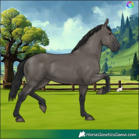 Horse Color:Grullo 