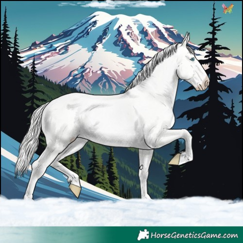 Horse Color:Cremello Dun