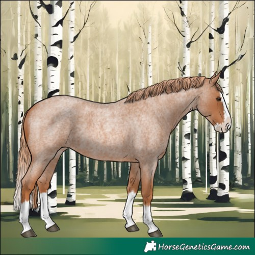 Horse Color:Red Roan Splash 