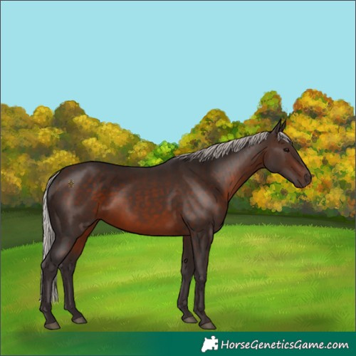 Horse Color:Silver Brown