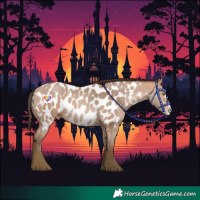 Horse Color:Amber Champagne Near Leopard and Amber Champagne Splash Near Leopard