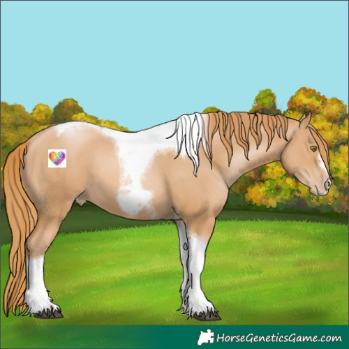 Horse Color:Chestnut Pearl Tobiano Frame 