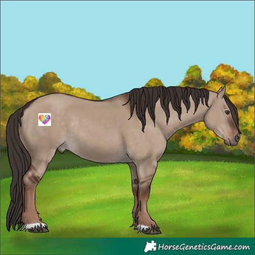 Horse Color:Liver Red Dun Rabicano 