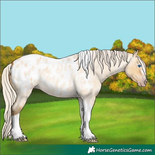 Horse Color:Gray Silver Amber Cream Champagne Roan Dun Splash Tobiano Frame Appaloosa Rabicano