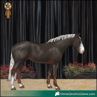 Horse Color:Liver Chestnut Mushroom Sabino 