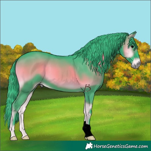 Horse Color:Watercolor Blue Onyx 
