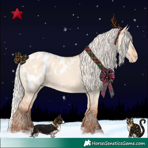 Horse Color:Silver Sable Champagne Dun Appaloosa