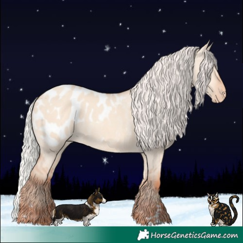 Horse Color:Silver Sable Champagne Dun Appaloosa 
