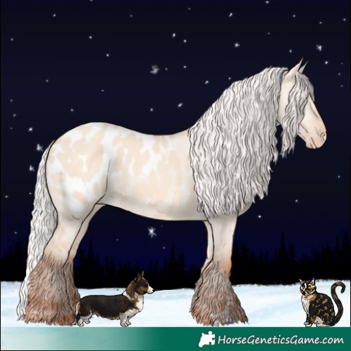 Horse Color:Silver Sable Champagne Dun Blanket 