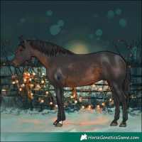Horse Color:Brown 