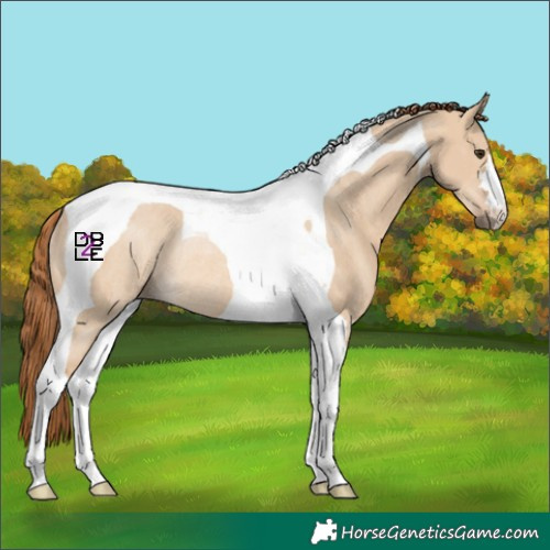 Horse Color:Red Dun Tobiano Rabicano 