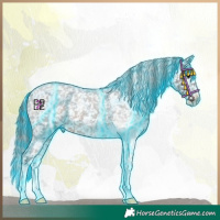 Horse Color:Thunderstruck Brown Roan Mushroom Sabino Appaloosa 