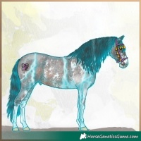 Horse Color:Thunderstruck Brown Roan Mushroom Sabino Appaloosa