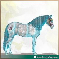 Horse Color:Thunderstruck Brown Roan Mushroom Sabino Appaloosa 