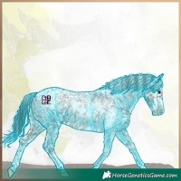 Horse Color:Thunderstruck Brown Roan Mushroom Sabino Snowflake Varnish 