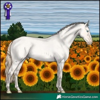 Horse Color:Perlino Roan Dun 