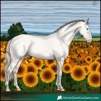Horse Color:Perlino Roan Dun