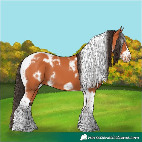 Horse Color:White Spotted Bay Tobiano Frame 