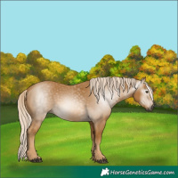 Horse Color:Gray Palomino 