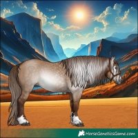 Horse Color:Gray Red Dun 