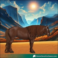Horse Color:Gray Chestnut