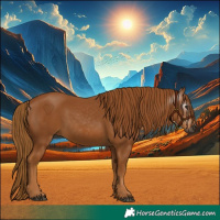 Horse Color:Gray Chestnut 