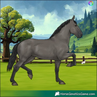 Horse Color:Grullo 