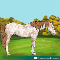 Horse Color:Chestnut Ice Pearl 