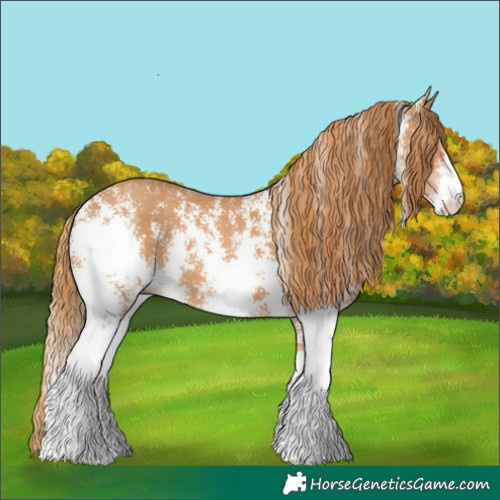 Horse Color:Chestnut Sabino