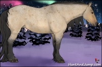 Horse Color:Buckskin Roan Dun 