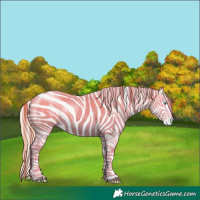 Horse Color:Perlino Splash  and Perlino Splash Varnish 