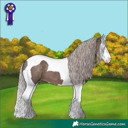 Horse Color:Silver Black Splash Tobiano 