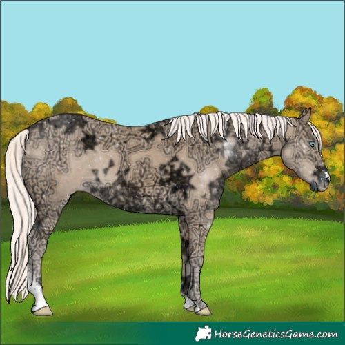 Horse Color:Cremello Ice Sabino